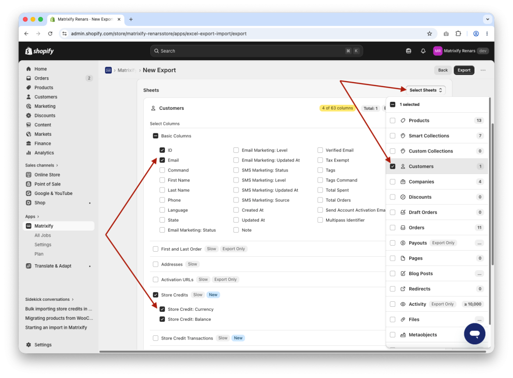 1. Export Shopify Customer Store Credit account balances with Matrixify app
