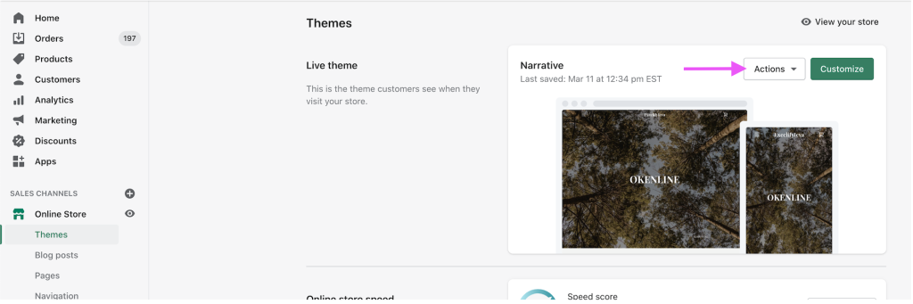 Action button to download Shopify theme file