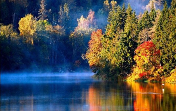 Excelify Autumn in Latvia