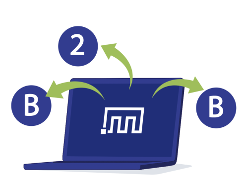 How to Export Shopify B2B Companies Data to Excel-CSV